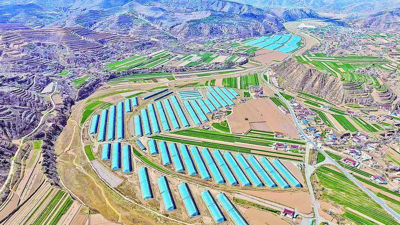 《隴東報》特刊·鄉村振興︱慶陽：立足資源優勢發展特色產業