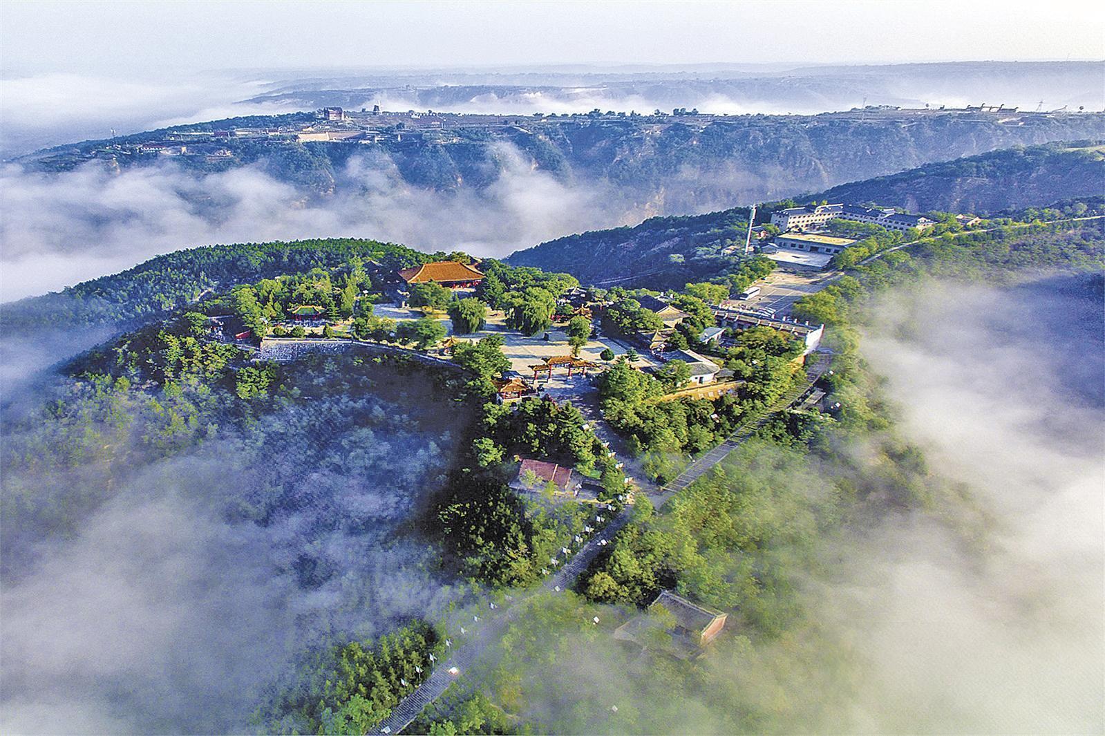 【生態慶陽】慶城縣：春日植綠正當時